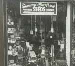 Window Shopping – Last Century